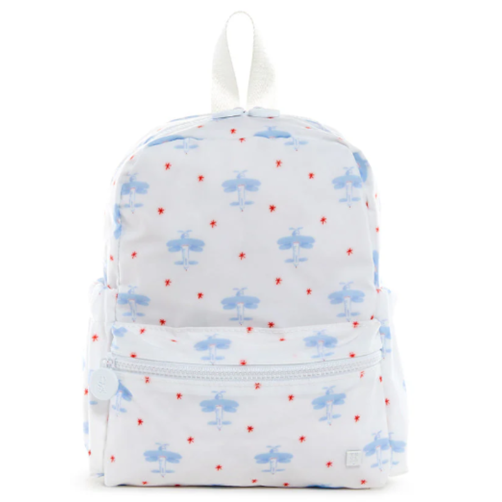 Mini Backer - David's Airplane