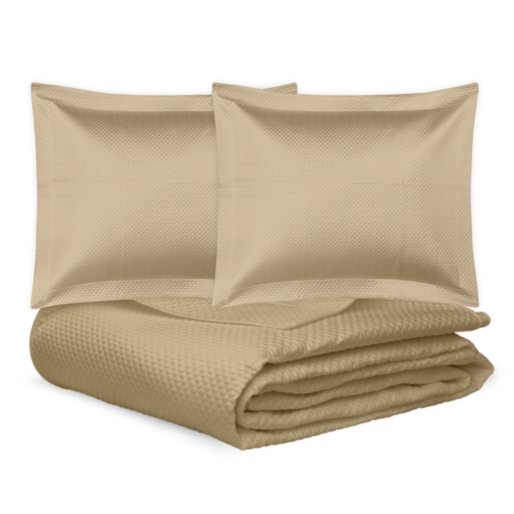 Alba Set - Champagne